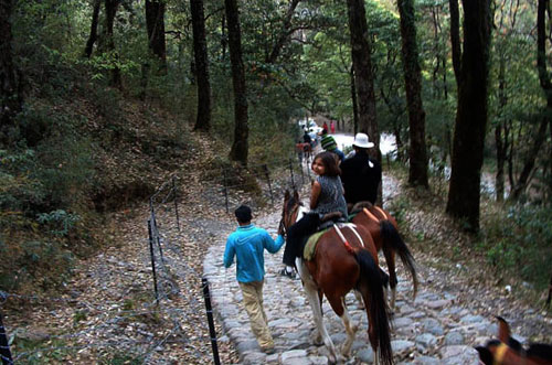 Horse Riding- Mount Abu